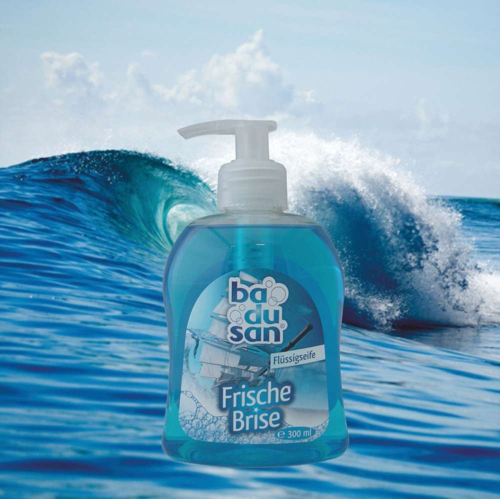 Frische Brise Flüssigseife 300 ml